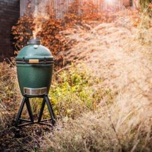 big green egg medium